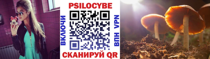 Псилоцибиновые грибы ЛСД  ОМГ ОМГ ссылка  Павлово 